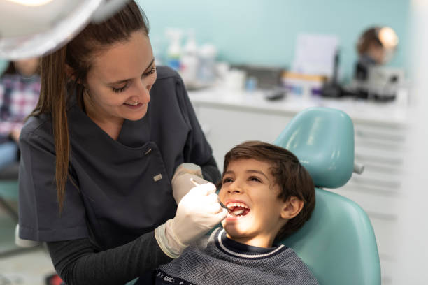 Best Emergency Dental Care for Trauma or Injury in Brownlee Park, MI